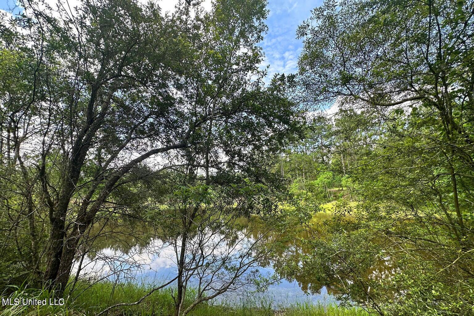 23-ac Hinton Road Lucedale, MS 39452 - Photo 10 of 42 10