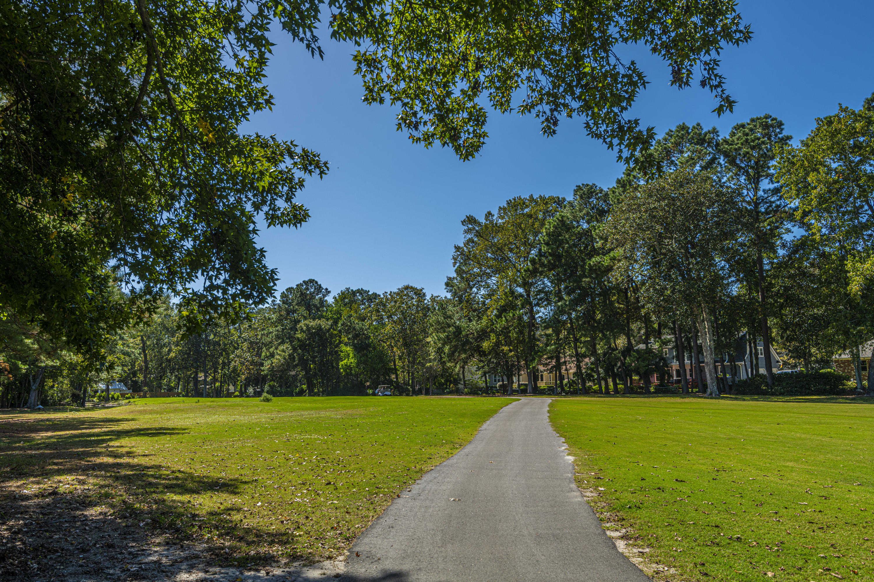 837 Farm Quarter Road Mount Pleasant, SC 29464 - Photo 5 of 5 DSC_8972