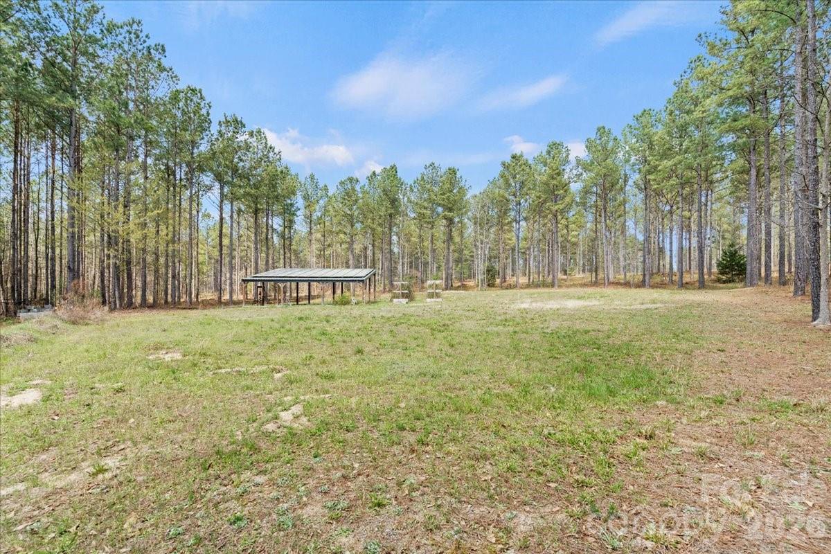 962 Miller Road Jefferson, SC 29718 - Photo 46 of 48 a view of open space with trees