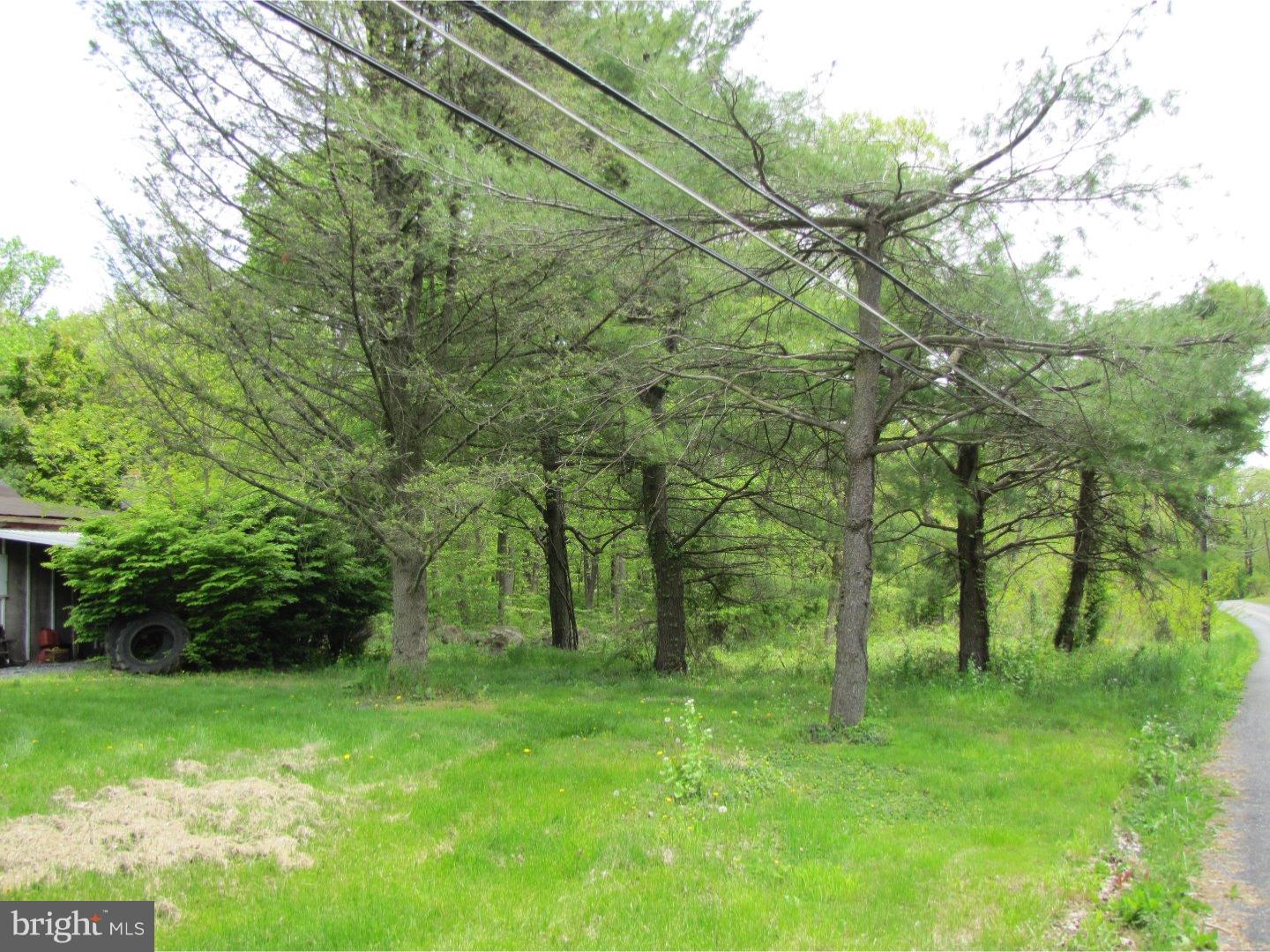 250 Buttermilk Road Easton, PA 18042 - Photo 11 of 21 Back Yard