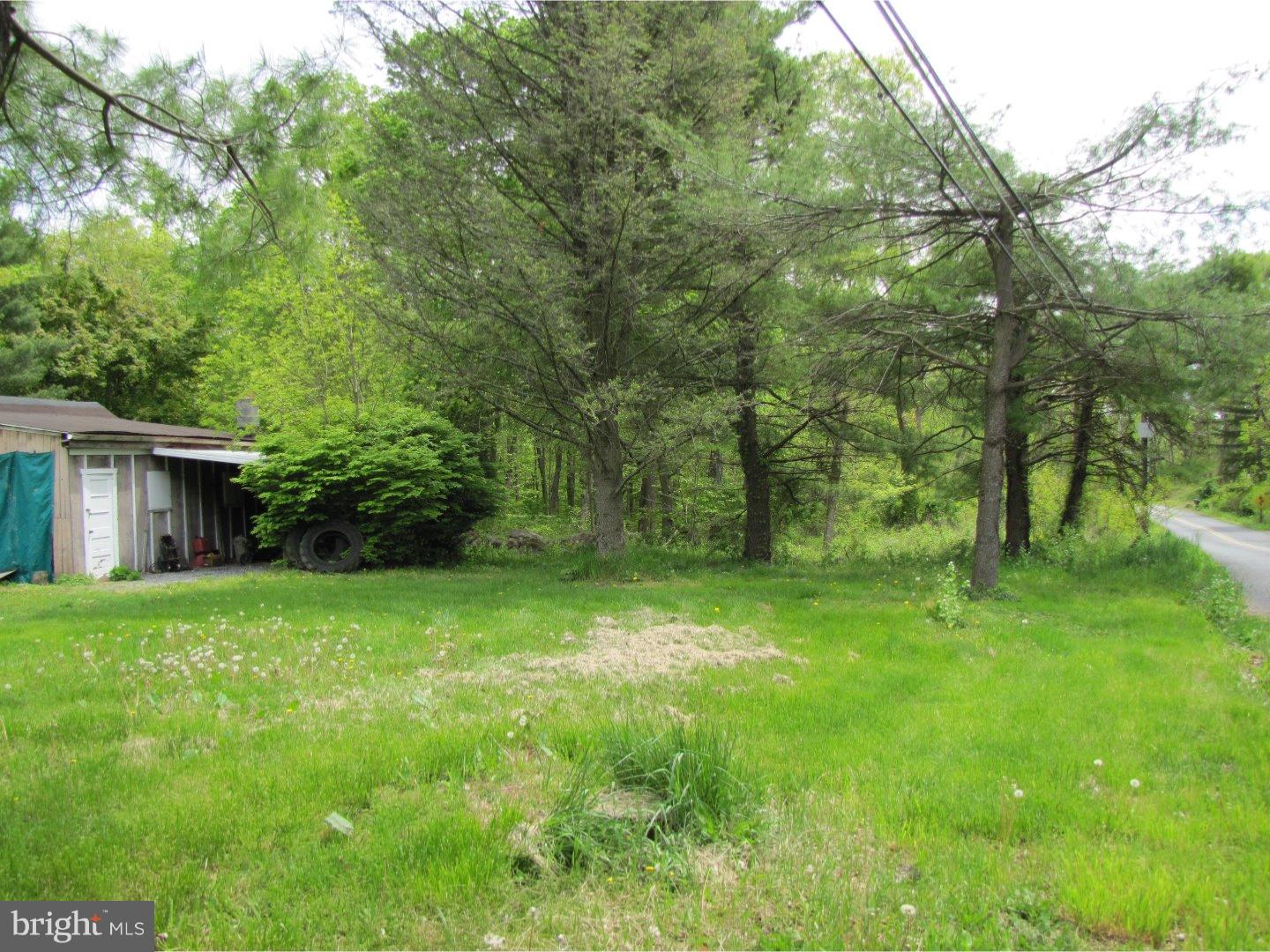 250 Buttermilk Road Easton, PA 18042 - Photo 7 of 21 Side Yard