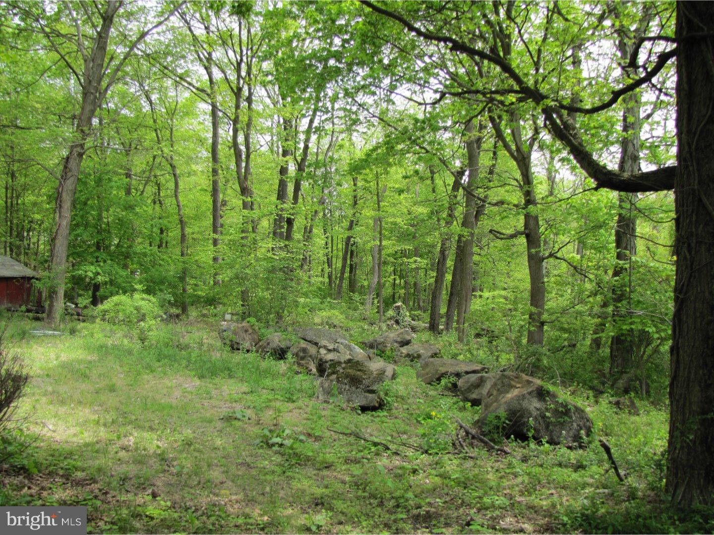 250 Buttermilk Road Easton, PA 18042 - Photo 10 of 21 View in Back