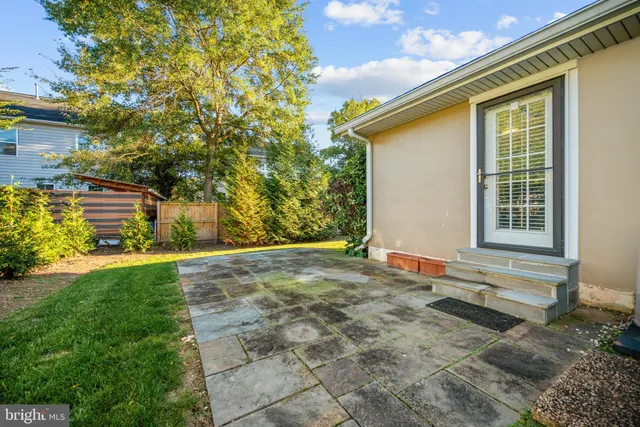a view of backyard with large trees and plants