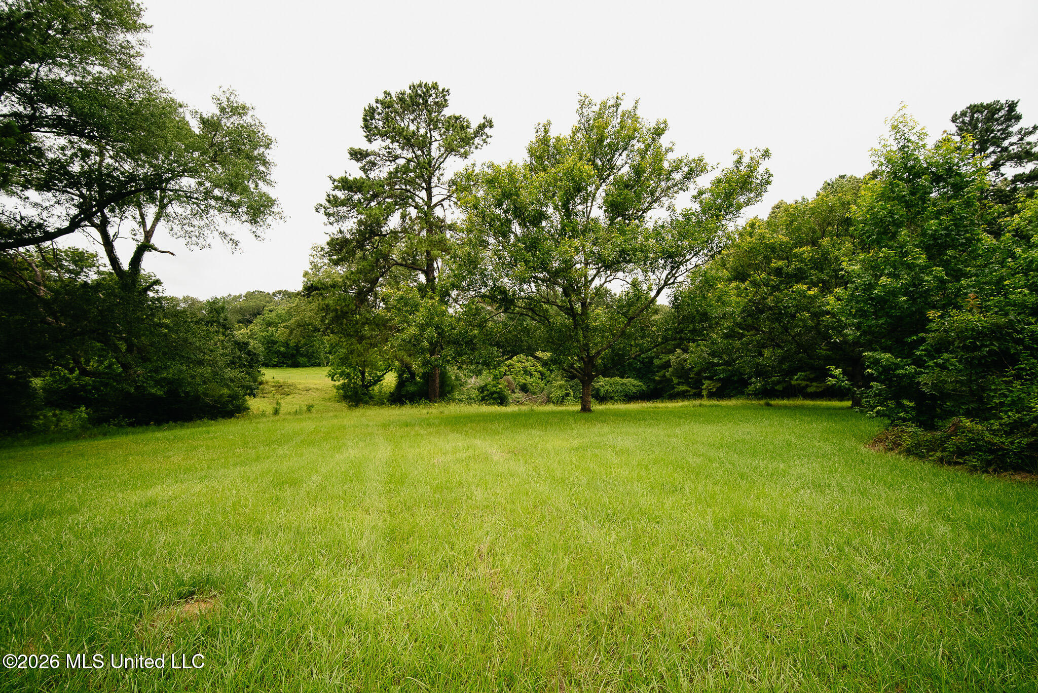 2139 Warren Hood Road Hermanville, MS 39086 - Photo 109 of 115 Backyard