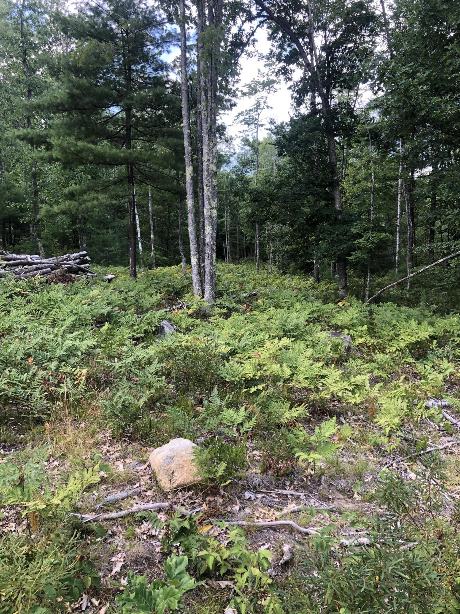 0 Clarkswoods Road Lyman, ME 04002 - Photo 2 of 4 IMG_6679