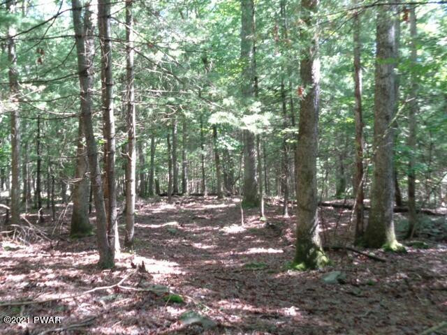 Lot 9 Stabler Road Hawley, PA 18428 - Photo 20 of 30
