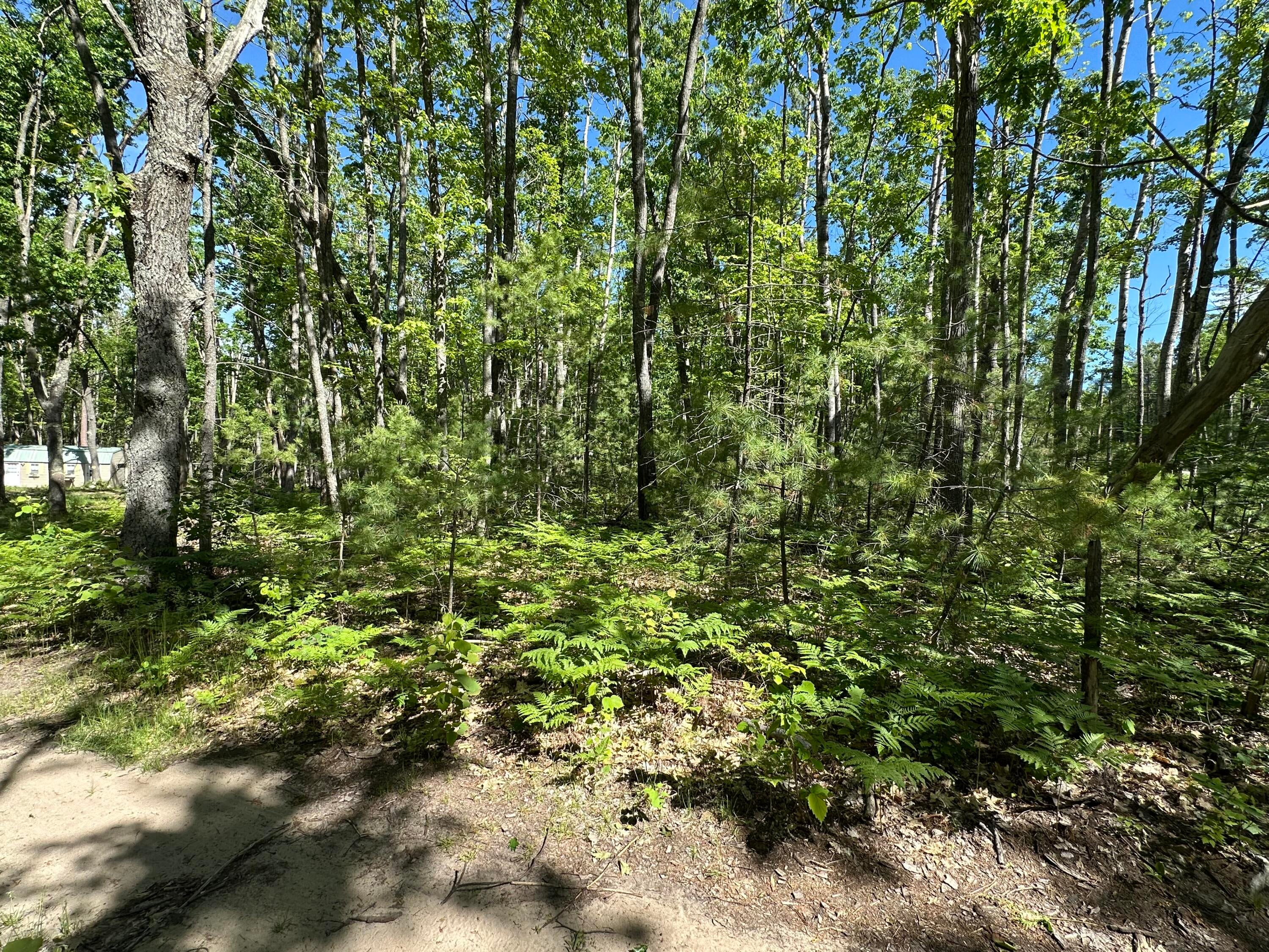 10-ac Neumann Road Lewiston, MI 49756 - Photo 14 of 14 Gallery Image 14