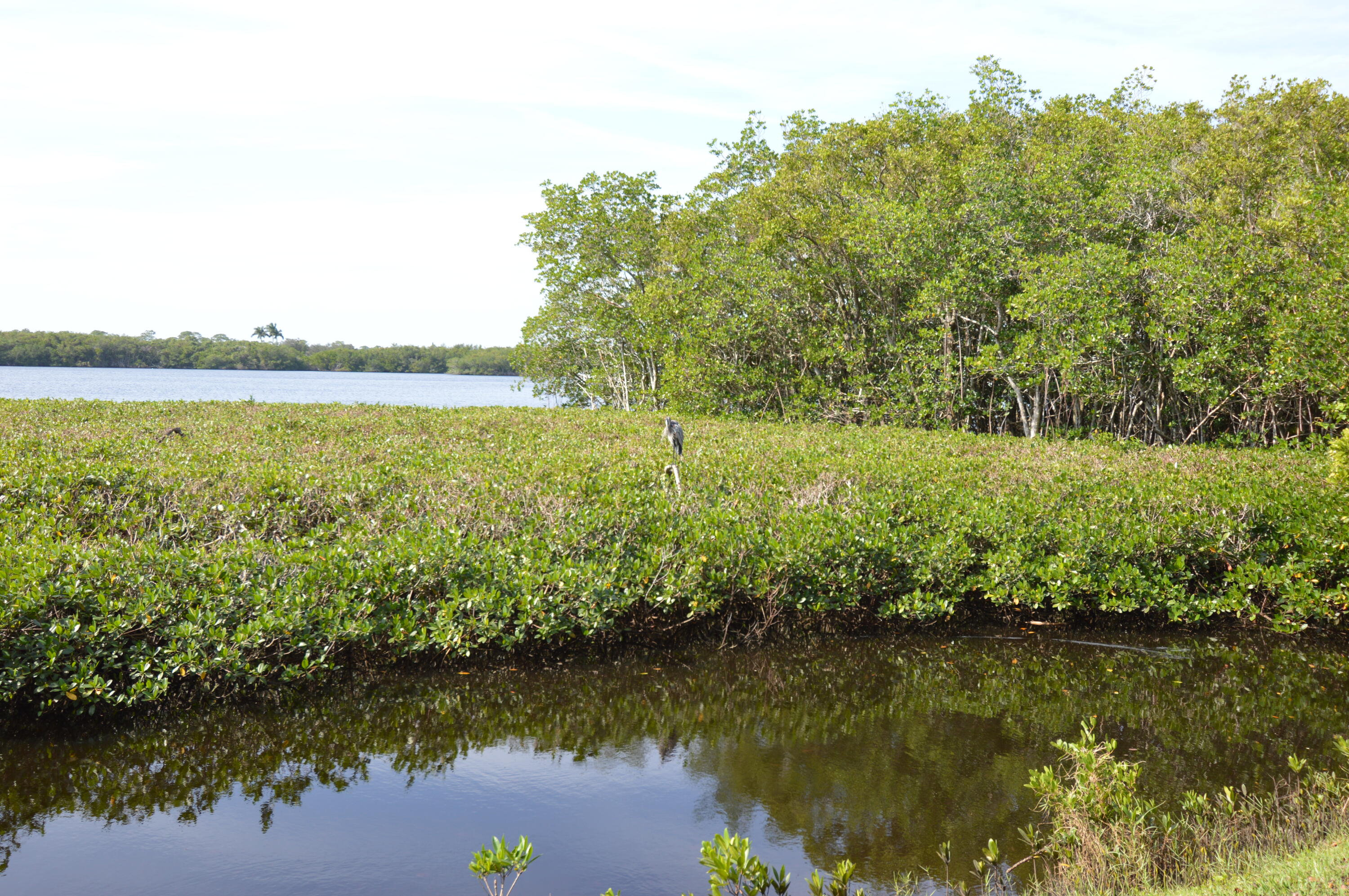 3100 Southeast Pruitt Road, Unit F105 Port St. Lucie, FL 34952 - Photo 18 of 56 Patio View 2