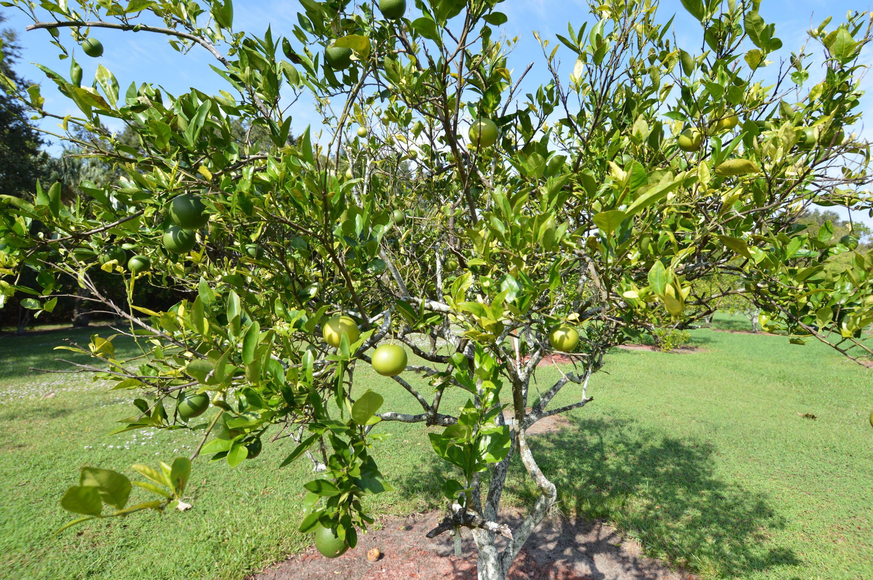 3100 Southeast Pruitt Road, Unit F105 Port St. Lucie, FL 34952 - Photo 47 of 56 DSC_0017