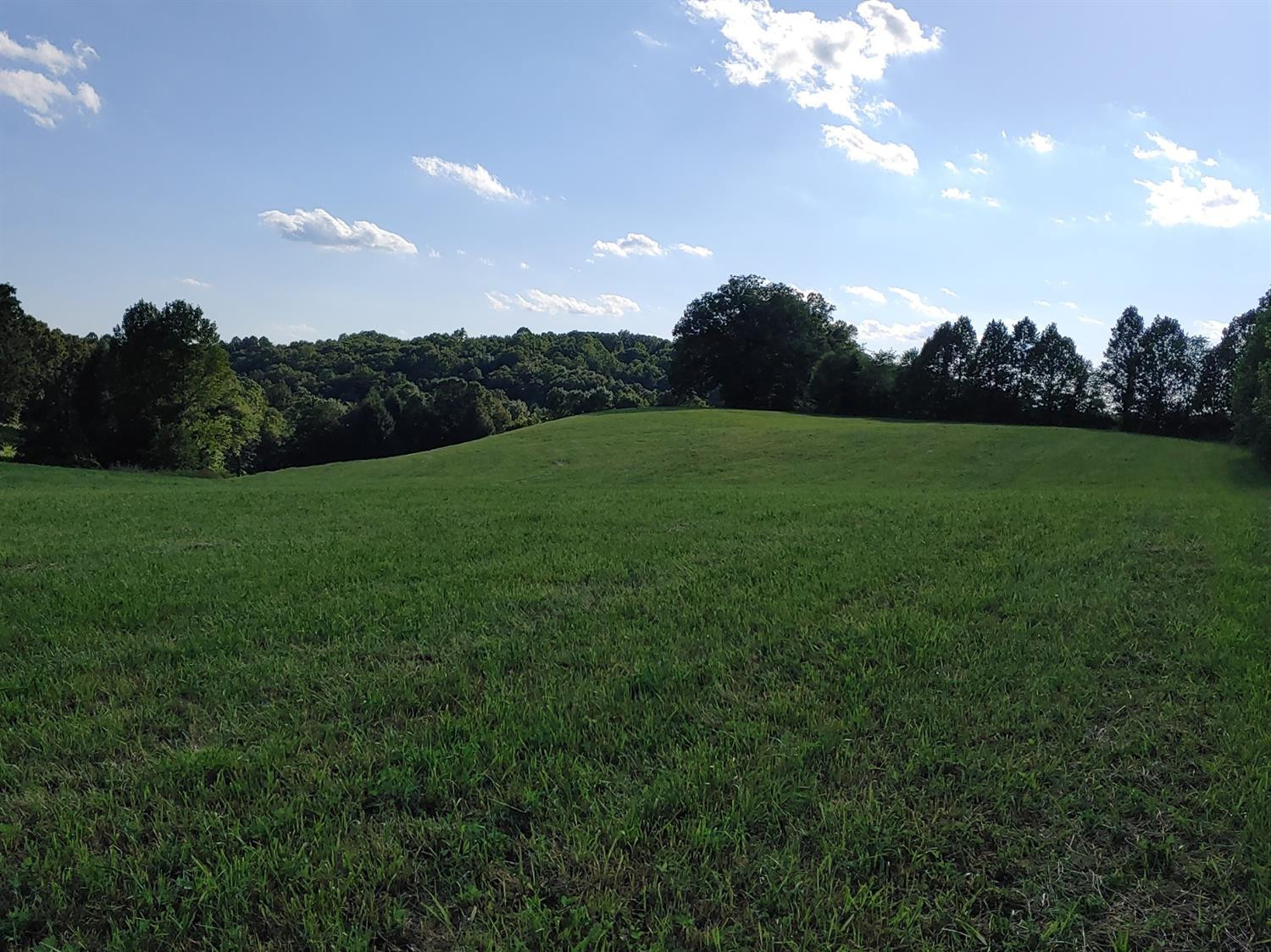 988 County Farm Road, Unit 4 London, KY 40741 - Photo 1 of 7 Photo 1