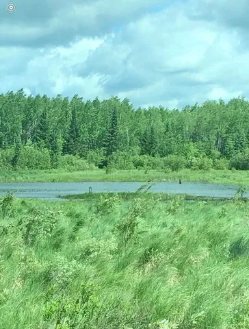 $119,900 | Tbd Tbd Rice Rapids Road, Effie, MN 56639