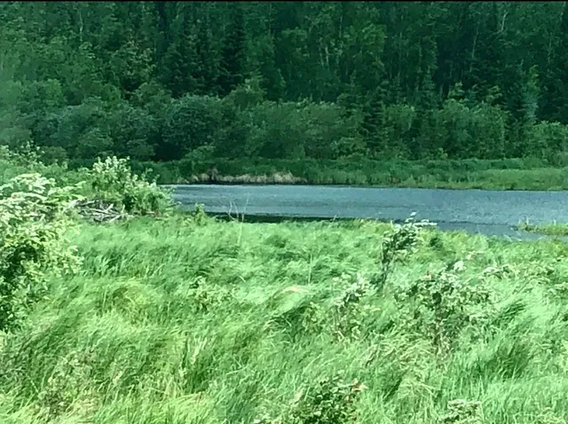 $119,900 | Tbd Tbd Rice Rapids Road, Effie, MN 56639