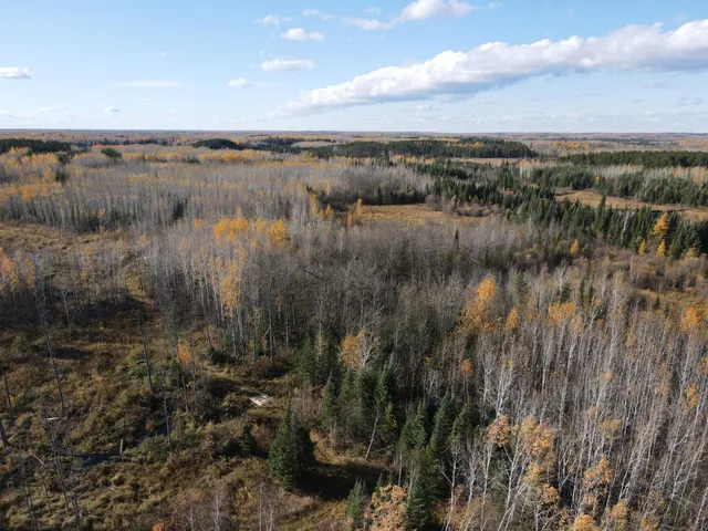 $119,900 | Tbd Tbd Rice Rapids Road, Effie, MN 56639