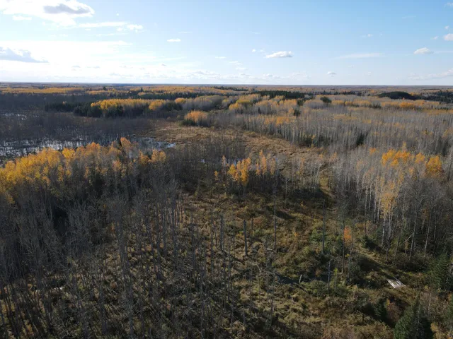 $119,900 | Tbd Tbd Rice Rapids Road, Effie, MN 56639