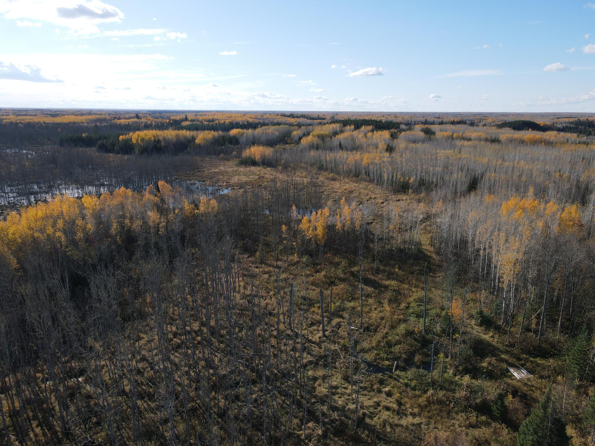 Tbd Tbd Rice Rapids Road Effie, MN 56639 - Photo 3 of 17