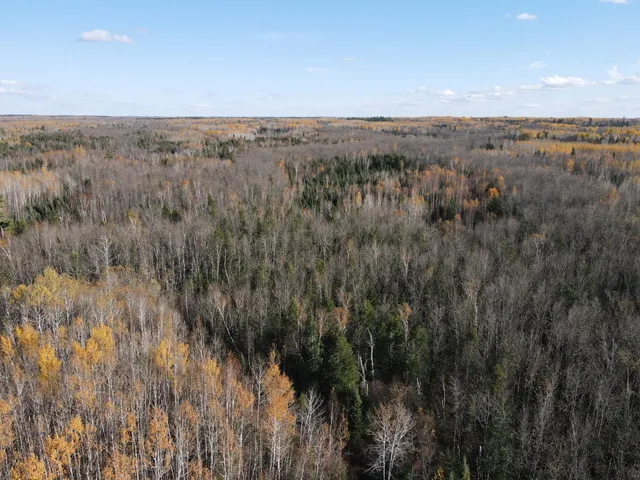 $119,900 | Tbd Tbd Rice Rapids Road, Effie, MN 56639