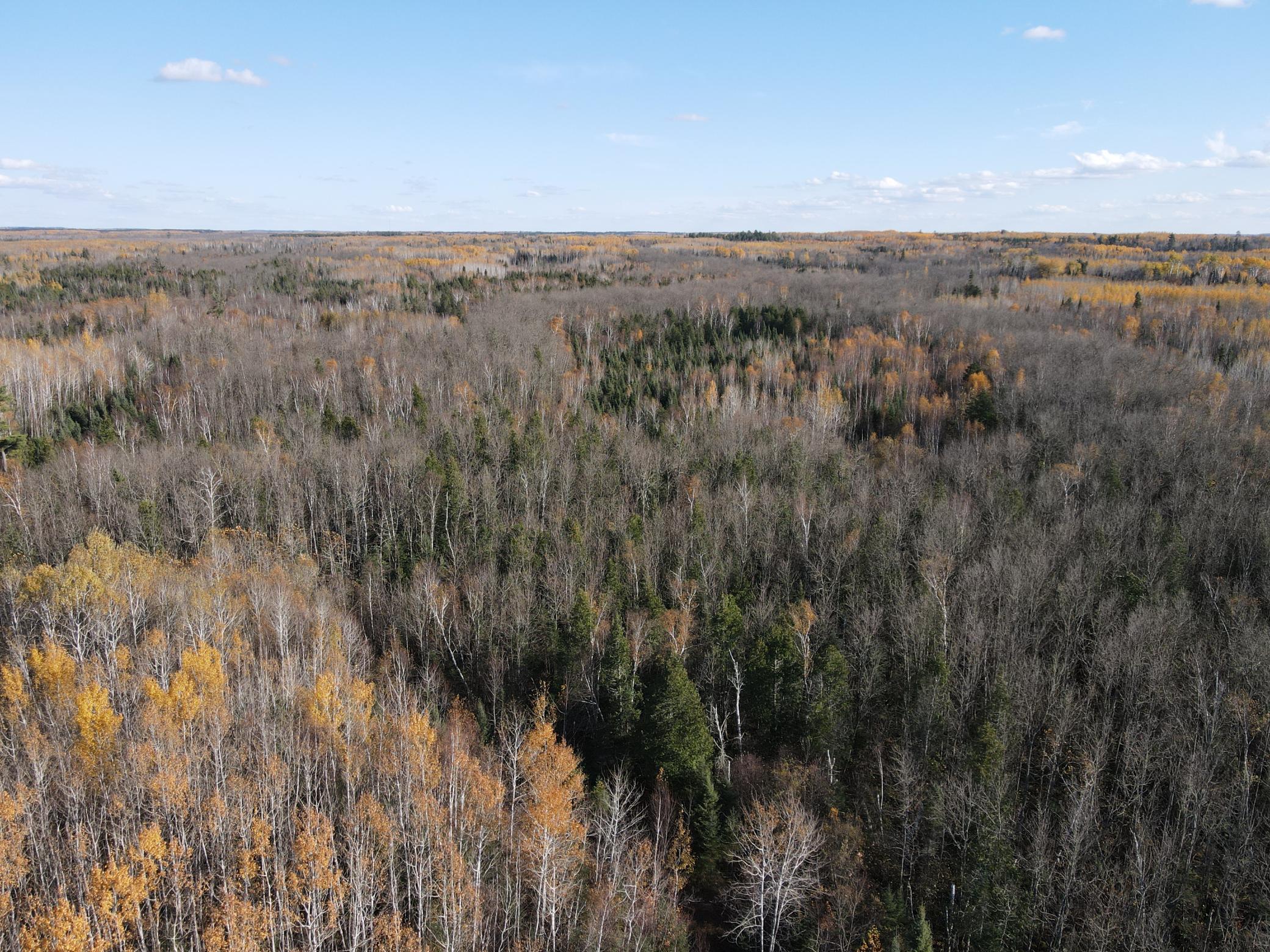 Tbd Tbd Rice Rapids Road Effie, MN 56639 - Photo 4 of 17