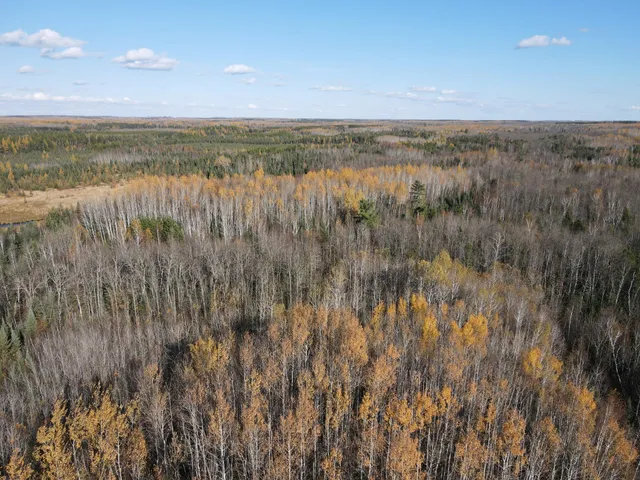 $119,900 | Tbd Tbd Rice Rapids Road, Effie, MN 56639