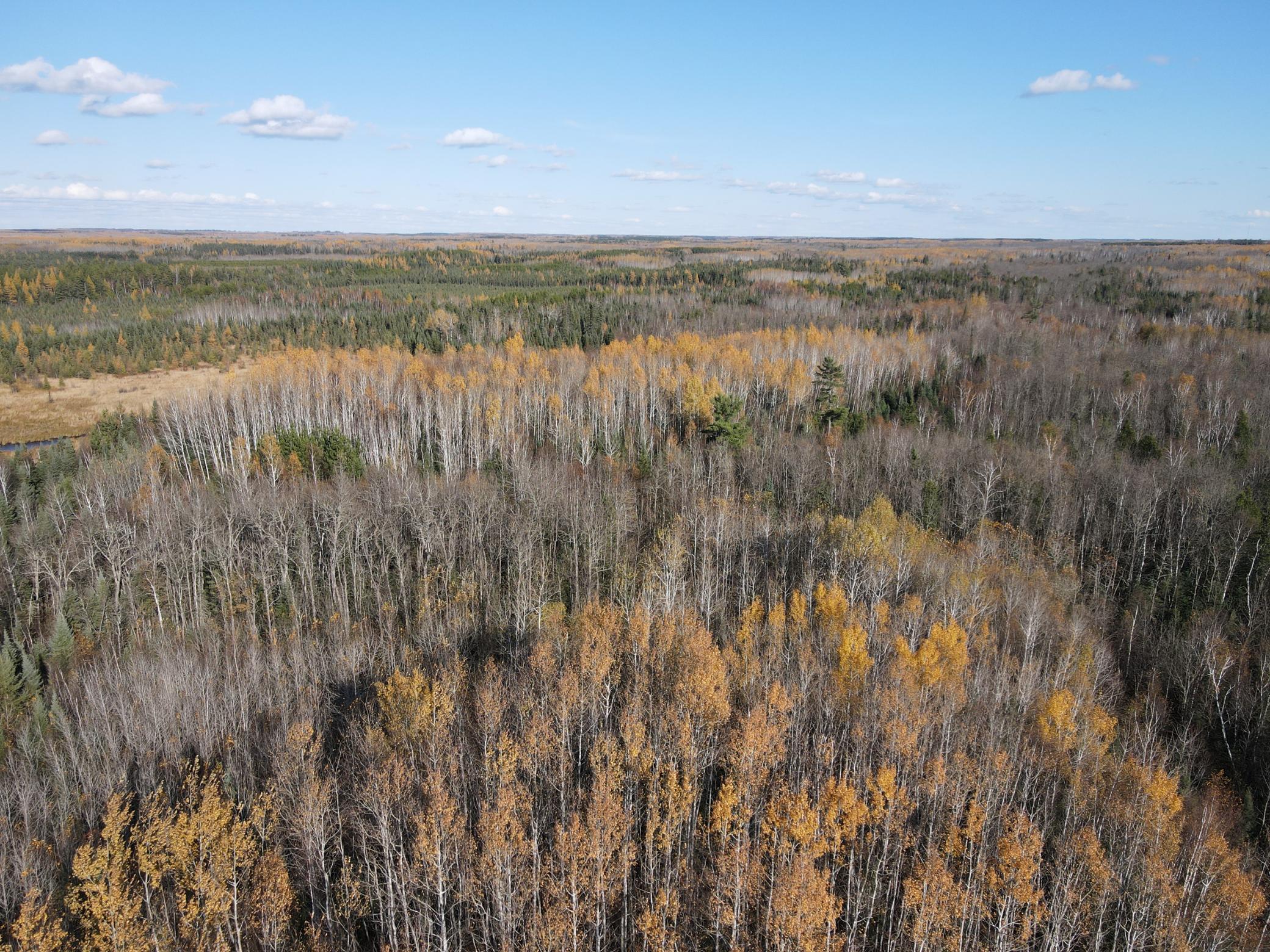 Tbd Tbd Rice Rapids Road Effie, MN 56639 - Photo 5 of 17
