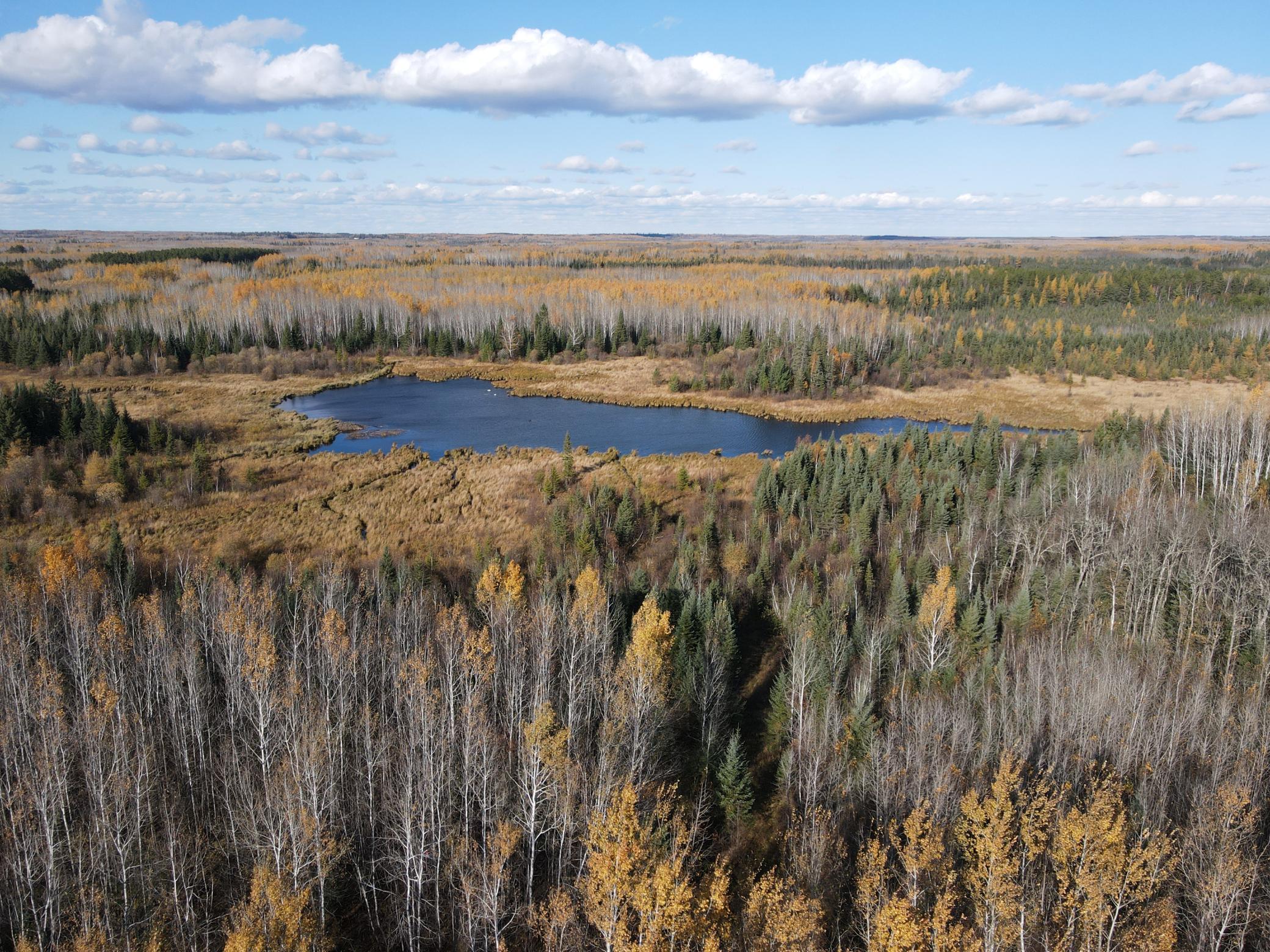 Tbd Tbd Rice Rapids Road Effie, MN 56639 - Photo 6 of 17