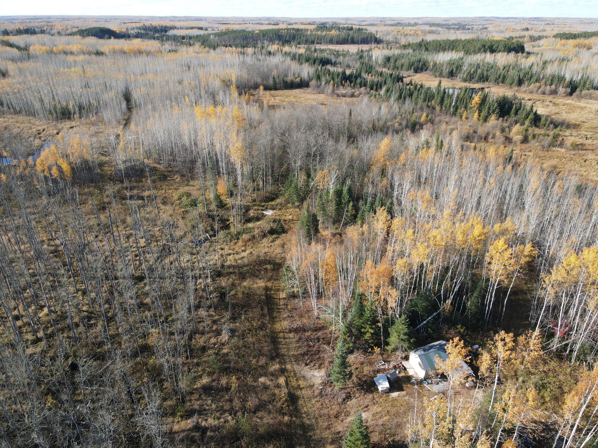 Tbd Tbd Rice Rapids Road Effie, MN 56639 - Photo 8 of 17