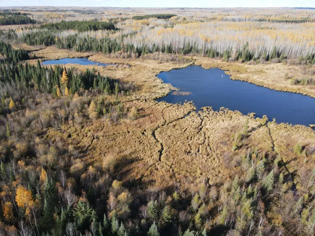 $119,900 | Tbd Tbd Rice Rapids Road, Effie, MN 56639