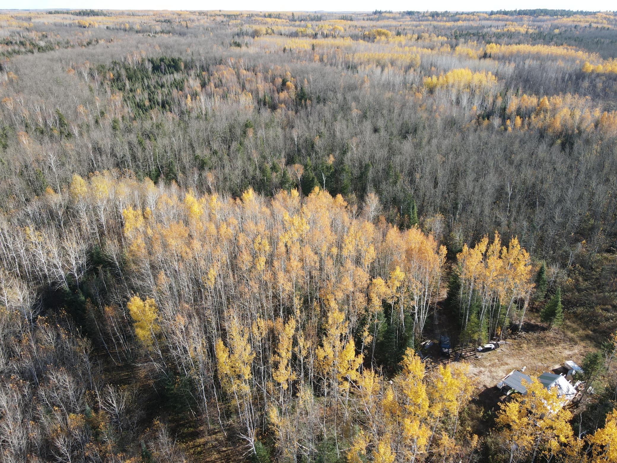 Tbd Tbd Rice Rapids Road Effie, MN 56639 - Photo 10 of 17