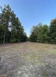 3875 Wriley Road McIntyre, GA 31054 - Photo 1 of 1 Gallery Image 1