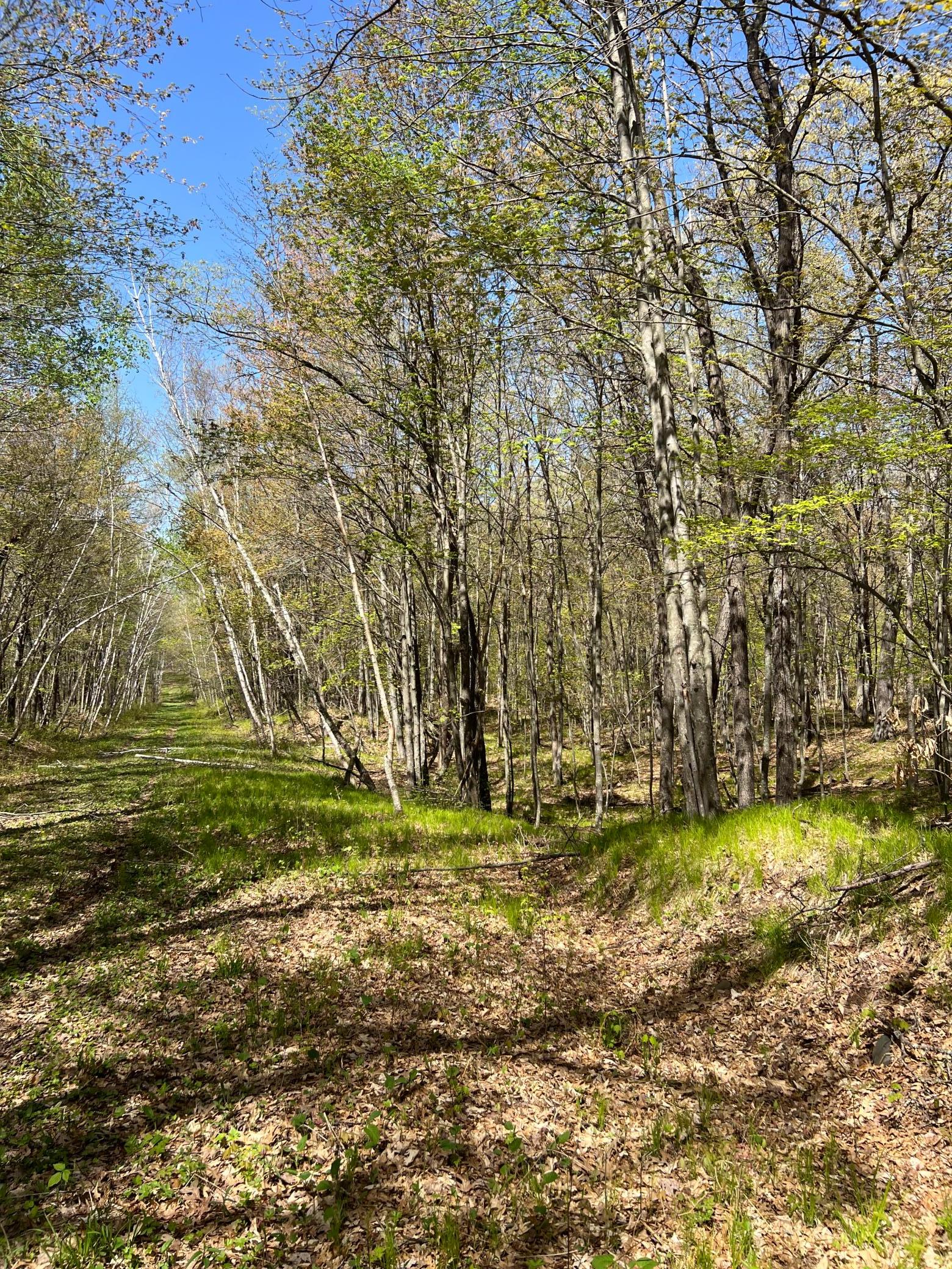 W6474 River Road Trego, WI 54888 - Photo 19 of 19