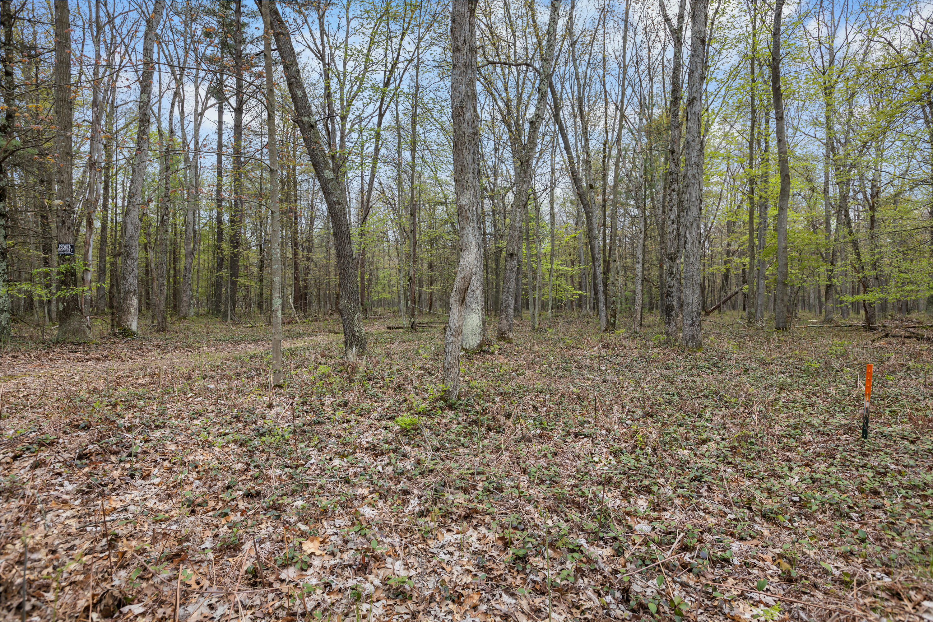 V/l Simonelli Road Muskegon, MI 49445 - Photo 3 of 14 0W3A6372