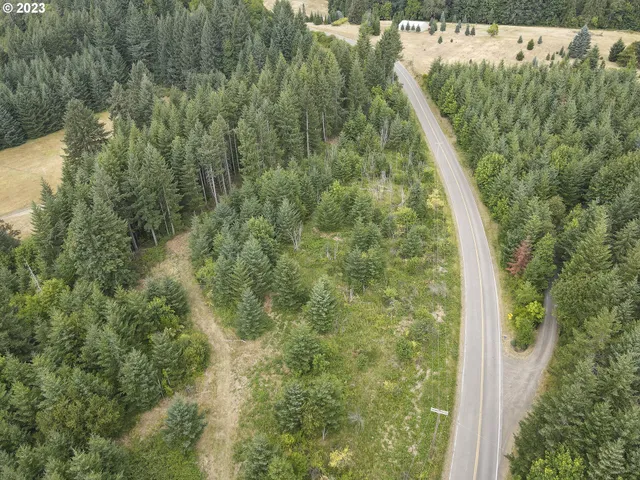 a view of a forest from a window
