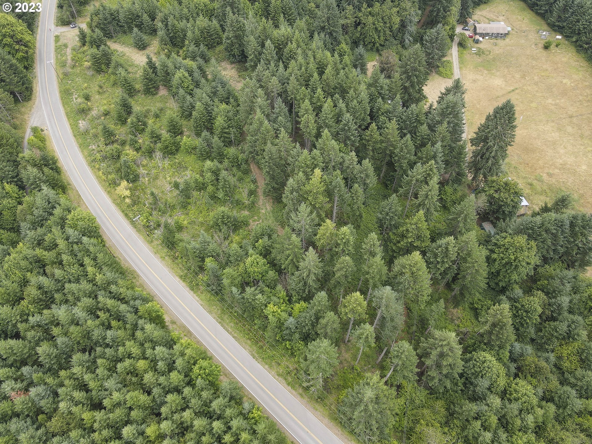 Northwest Pumpkin Ridge Road North Plains, OR 97133 - Photo 12 of 35 a close up of a plant in a forest