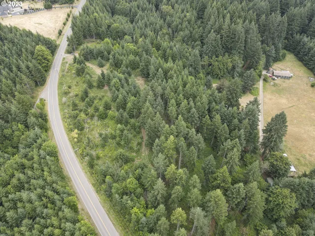 a view of a forest from a window