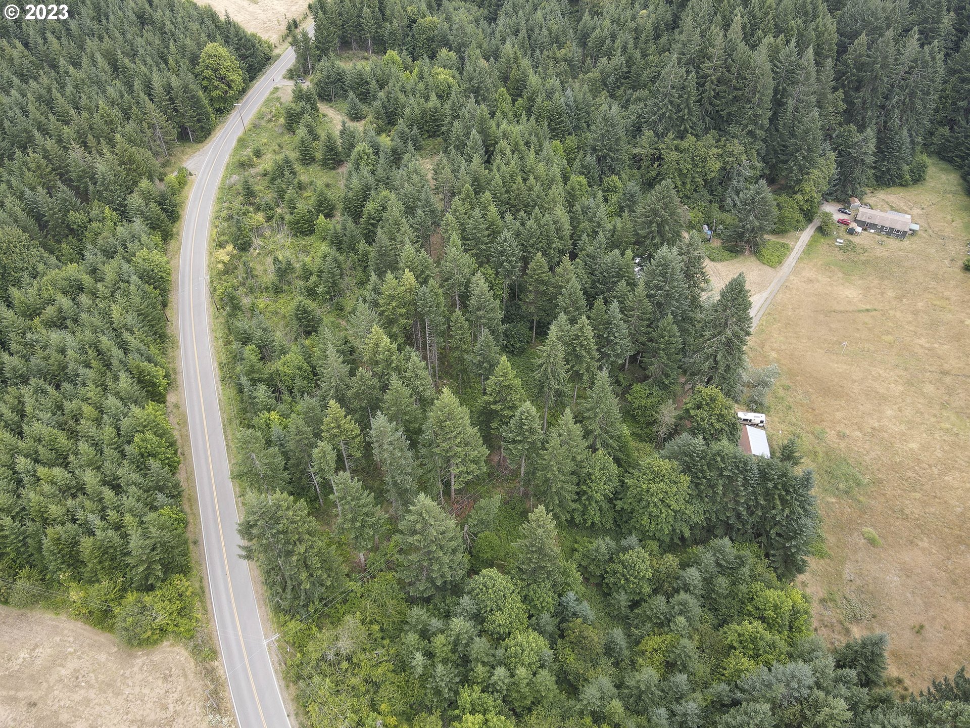 Northwest Pumpkin Ridge Road North Plains, OR 97133 - Photo 14 of 35 a view of a forest with a tree