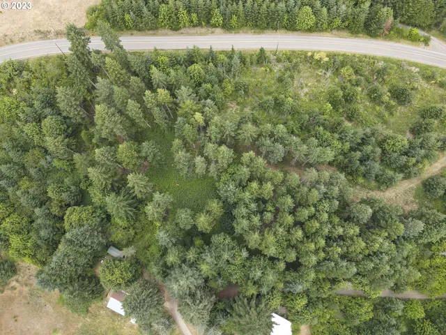 a view of a field of grass and trees
