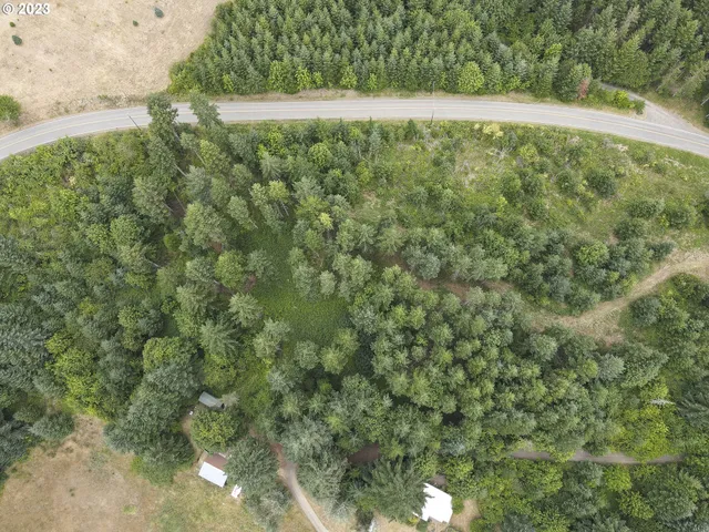 a view of a back yard