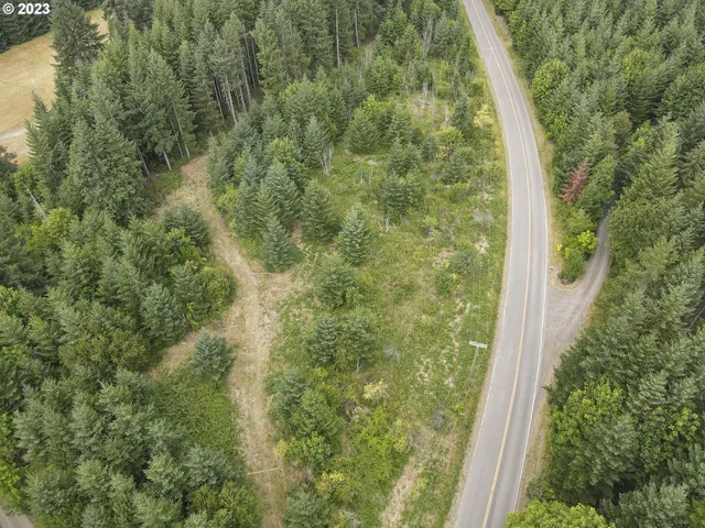 a view of a forest from a window