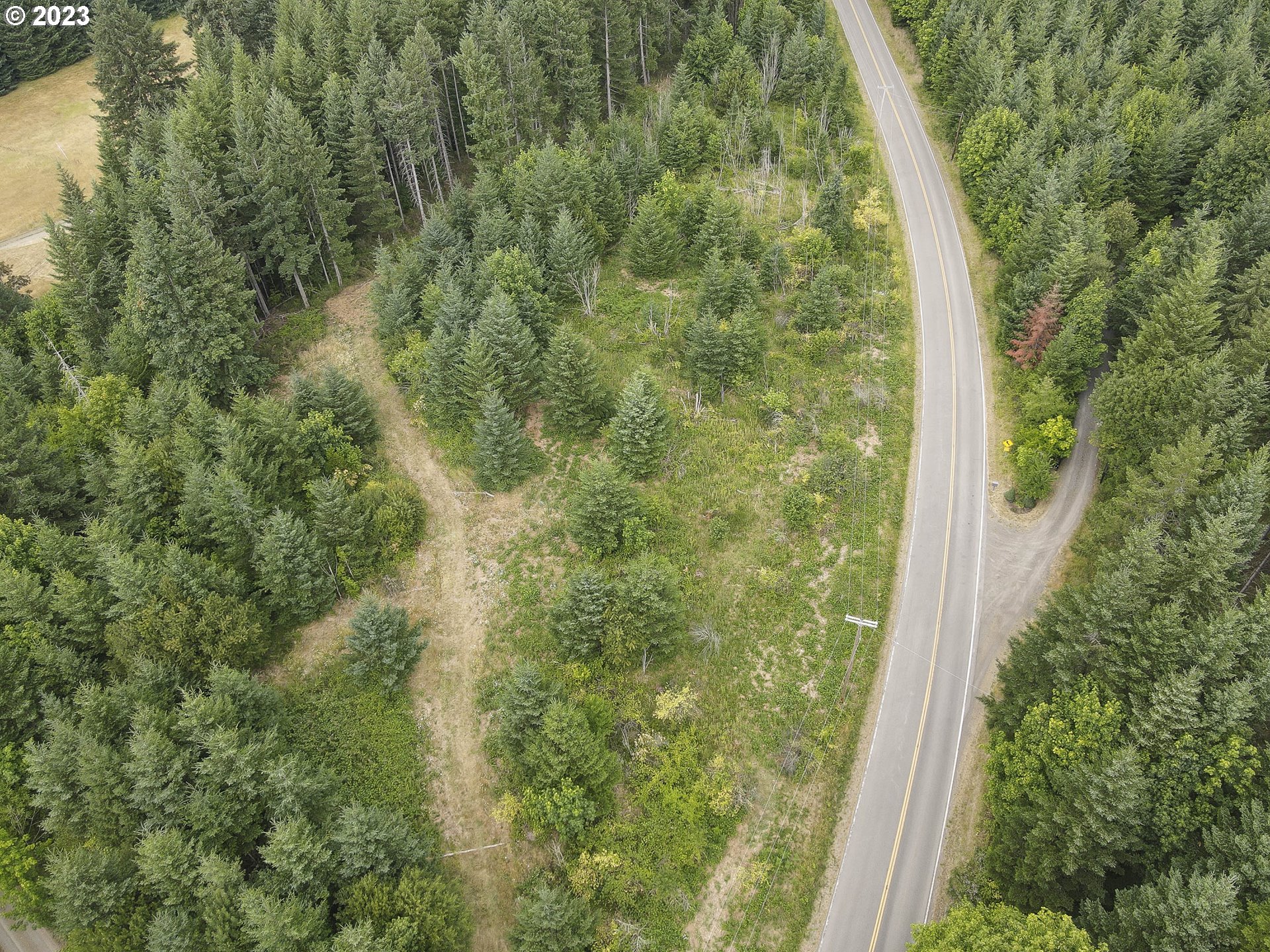 Northwest Pumpkin Ridge Road North Plains, OR 97133 - Photo 18 of 35 a view of a forest from a window