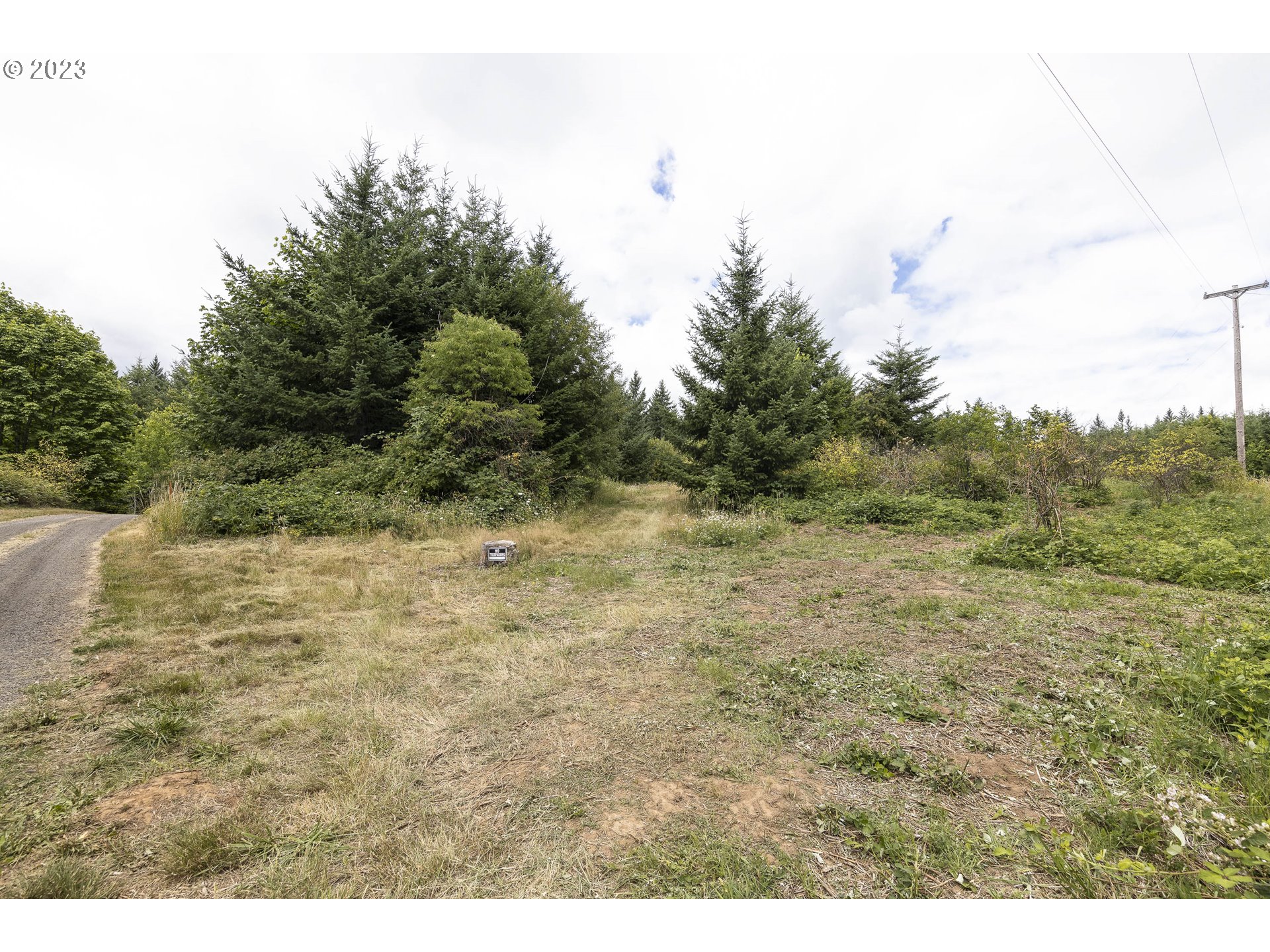 Northwest Pumpkin Ridge Road North Plains, OR 97133 - Photo 19 of 35 a view of a dry yard with trees