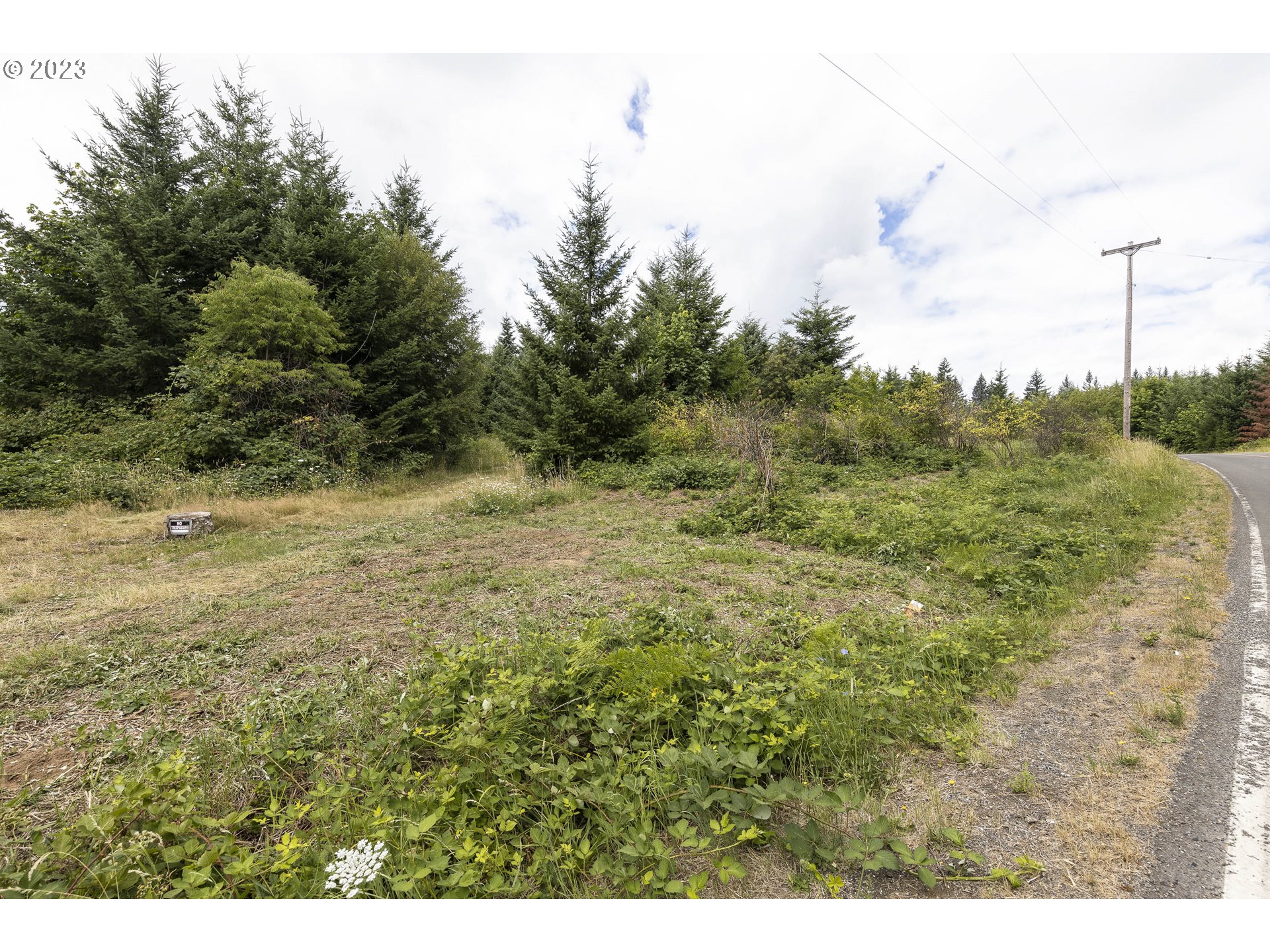 Northwest Pumpkin Ridge Road North Plains, OR 97133 - Photo 20 of 35 a view of a field