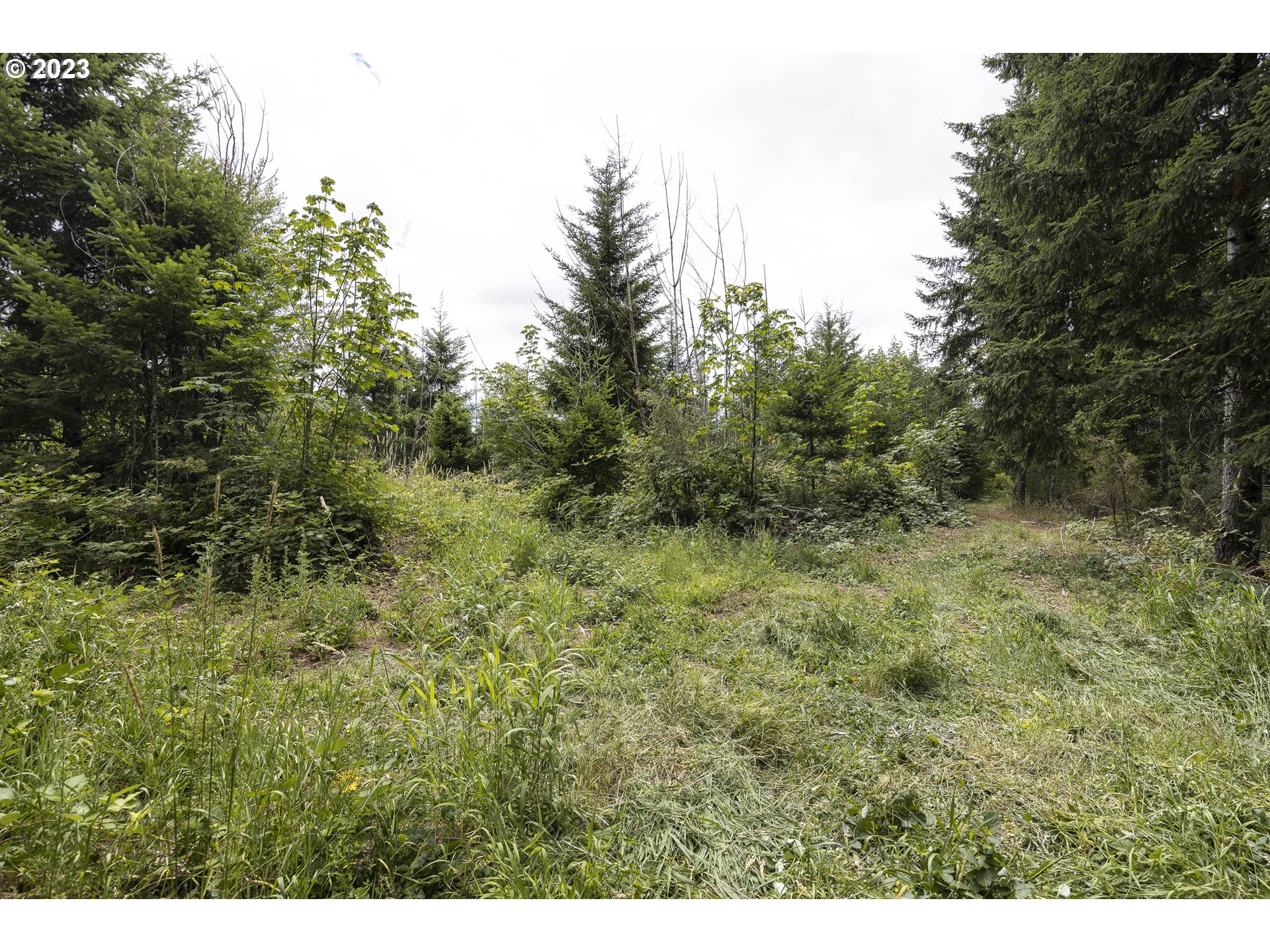 Northwest Pumpkin Ridge Road North Plains, OR 97133 - Photo 21 of 35 a view of a field of grass and trees