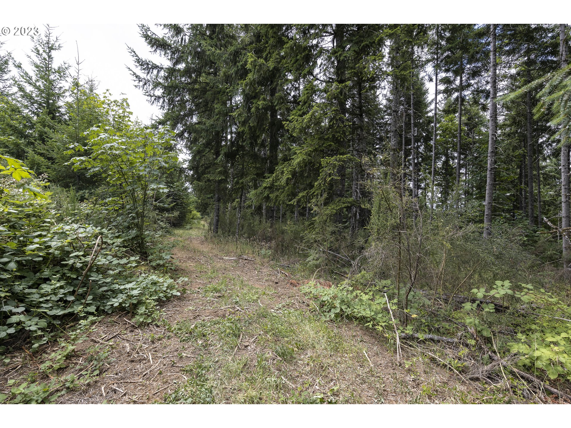 Northwest Pumpkin Ridge Road North Plains, OR 97133 - Photo 24 of 35 a view of a yard
