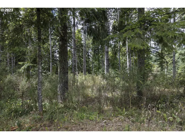 a view of outdoor space and green space