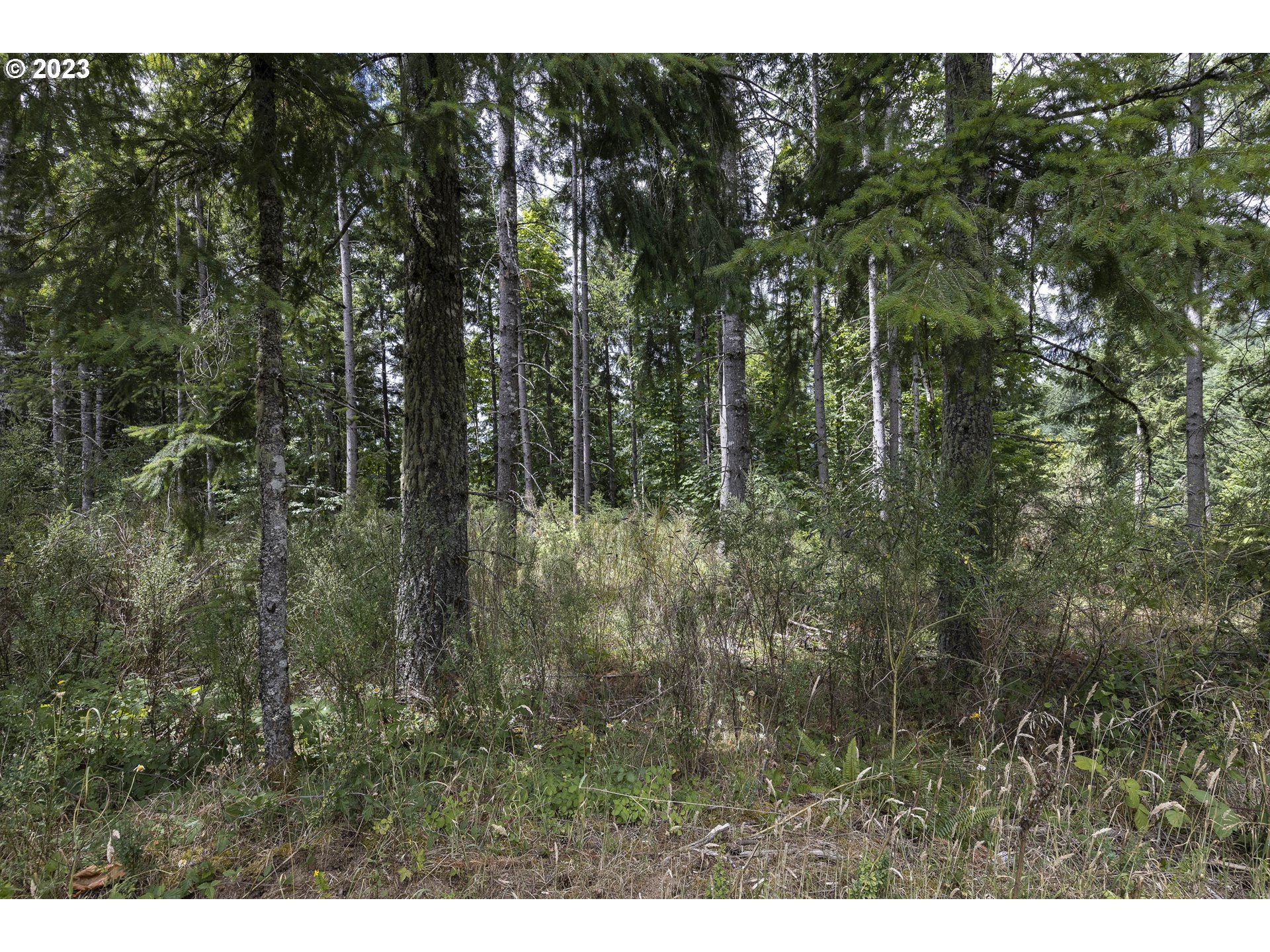 Northwest Pumpkin Ridge Road North Plains, OR 97133 - Photo 26 of 35 a view of outdoor space and green space