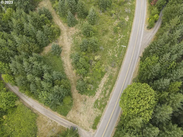 a bird view of a garden from a window