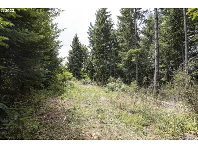 a view of outdoor space and green space