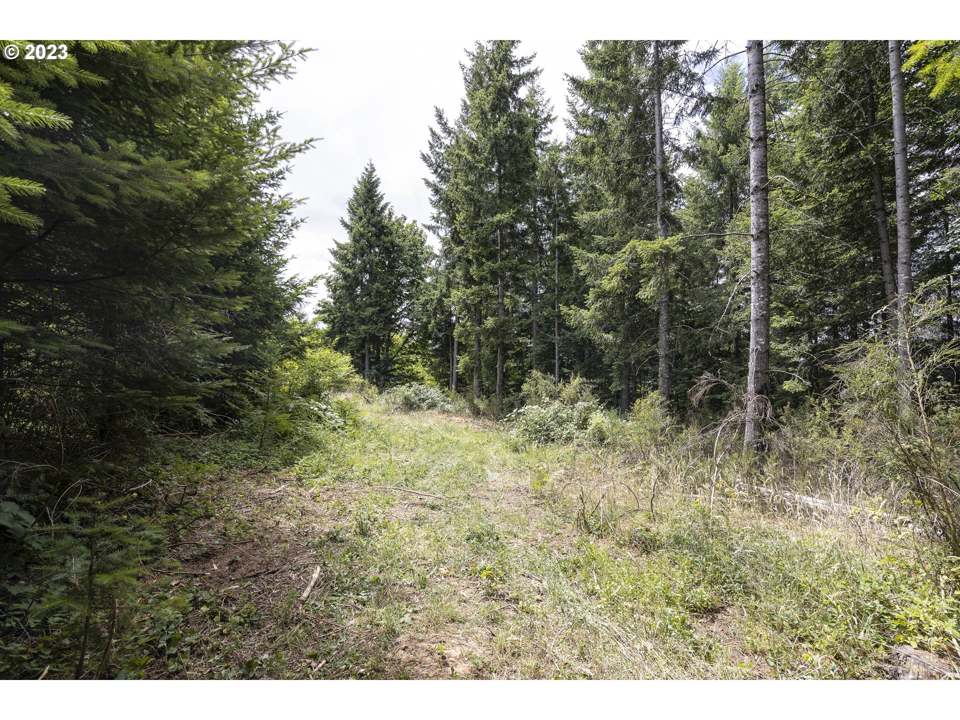 Northwest Pumpkin Ridge Road North Plains, OR 97133 - Photo 30 of 35 a view of outdoor space and green space