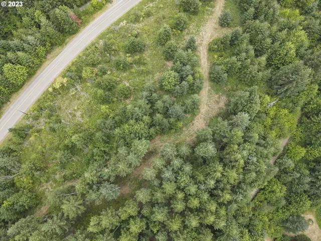 a view of a green field with lots of trees