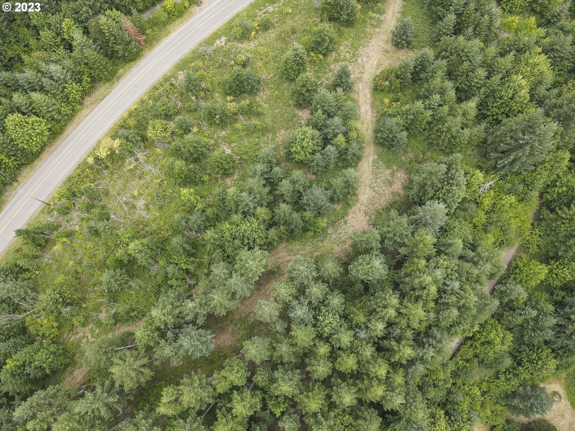 Northwest Pumpkin Ridge Road North Plains, OR 97133 - Photo 31 of 35 a view of a green field with lots of trees