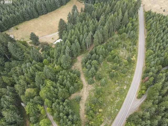 a view of a forest from a balcony